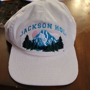 Jackson Hole Wyoming Hat Nwt